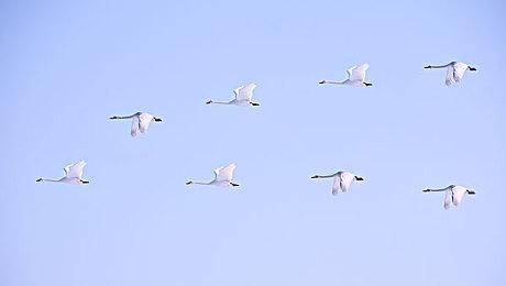 冒险新作《Jivana》已在Steam免费推出 当前评价褒贬不一